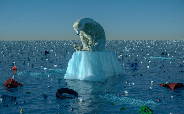 2e8d1cd52a968d67_62_1 2e8d1cd52a968d67_62_1