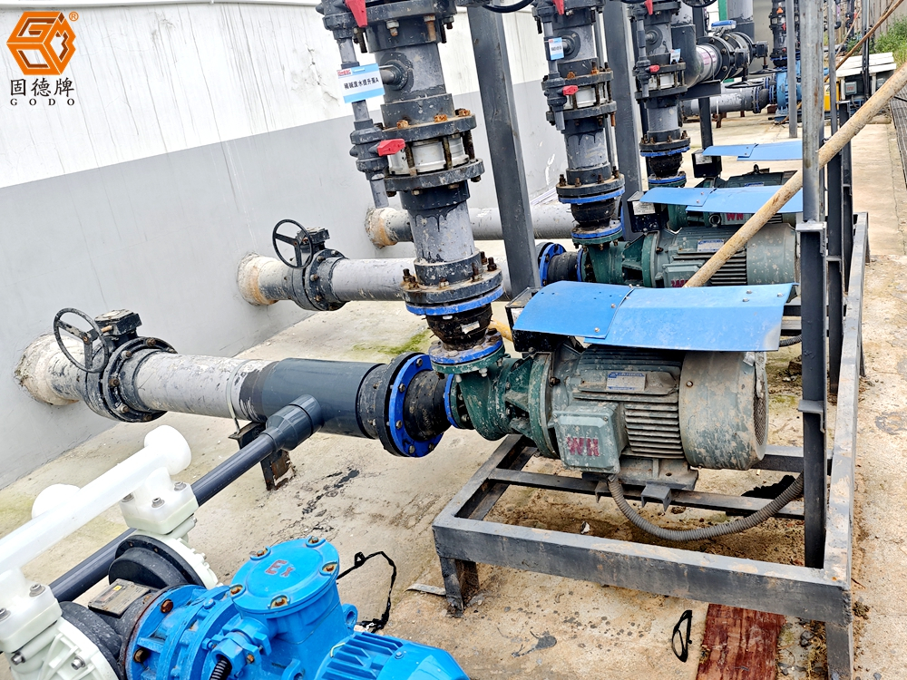 1724643146-4706.jpg 1724643146-4706.jpg