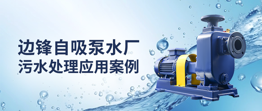 邊鋒自吸泵水廠污水處理應用案例
